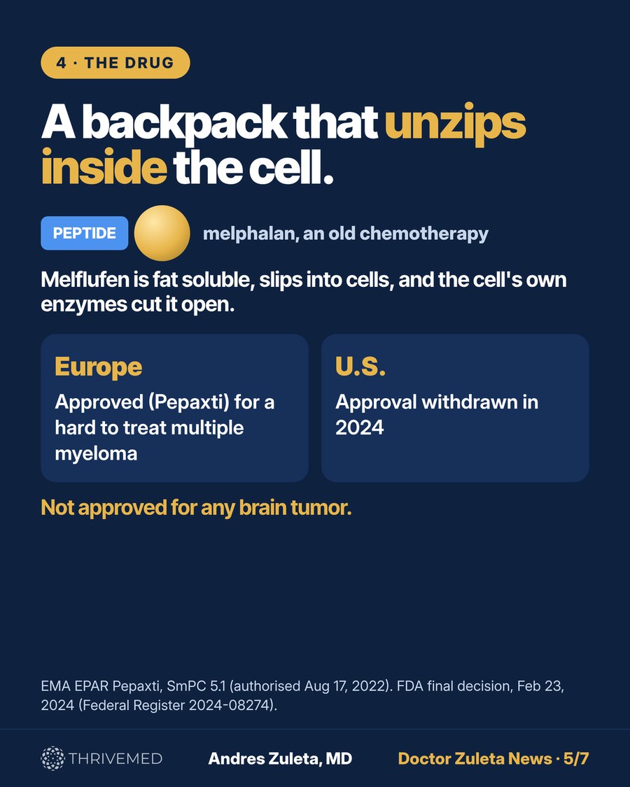 Explainer: melflufen is a backpack that unzips inside the cell